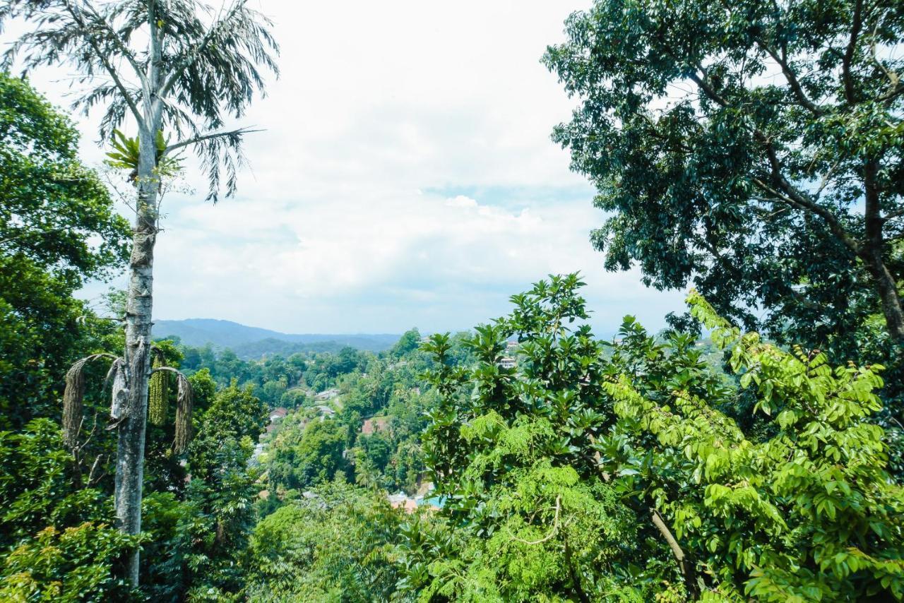 Amigo'S Home Stay Kandy Buitenkant foto